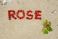 The Word âROSEâ Flat Layed With Fruits Of Dog Roses In The Sand Of A Beach